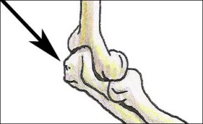 Lieu de forte tempête, c'est le...