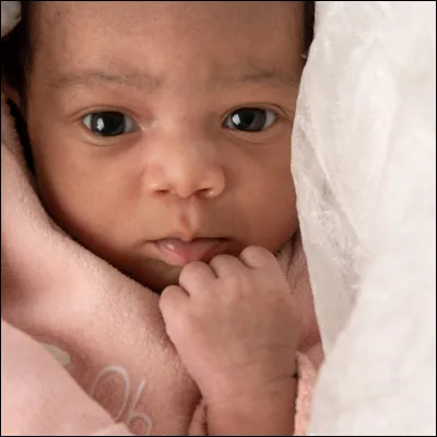 Quel âge avait Michael Jackson lors de la sortie du premier album des Jackson Five "Diana Ross presents the Jacksons Five" ?