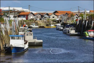Cette ville de 21 000 habitants du d&eacute;partement de la Gironde, situ&eacute;e au sud du bassin d'Arcachon, en Pays de Buch, c'est ...