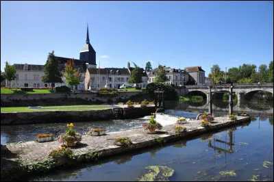 Cette ville de 17 000 habitants du d&eacute;partement de Loir-et-Cher, situ&eacute;e au coeur de la Sologne, sur la Sauldre :