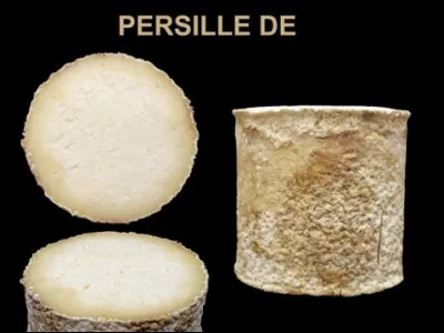 Quel est ce fromage persill&eacute; &eacute;labor&eacute; &agrave; partir des laits de vache, de ch&egrave;vre et de brebis, fabriqu&eacute; en Savoie ?