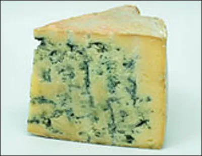 Quel est ce fromage persill&eacute; au lait de vache thermis&eacute; produit en Suisse dans le canton de Neufch&acirc;tel ?