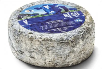 Quel est ce fromage persill&eacute; qu&eacute;b&eacute;cois &agrave; base de lait de vache thermis&eacute; ?