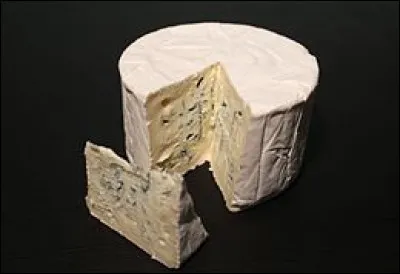 Quel est ce fromage persill&eacute; au lait de vache pasteuris&eacute; produit en Bresse ?