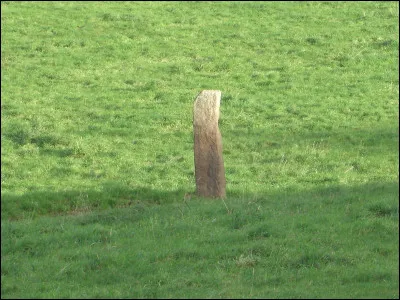 À proximité de Jobourg, dans des prairies dépourvues d'arbres, nous trouvons ces étranges monuments mégalithiques : de quoi s'agit-il ?