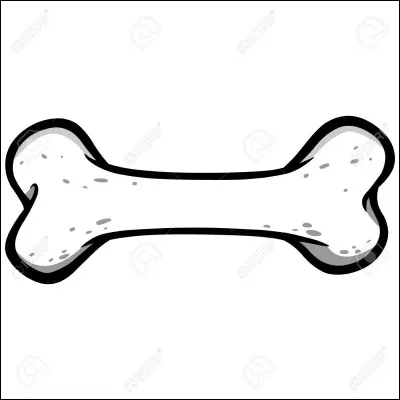 Les chevaux ont généralement 205 os :