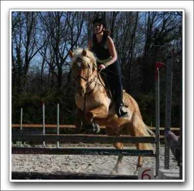 Que signifie les lettres CSO ?