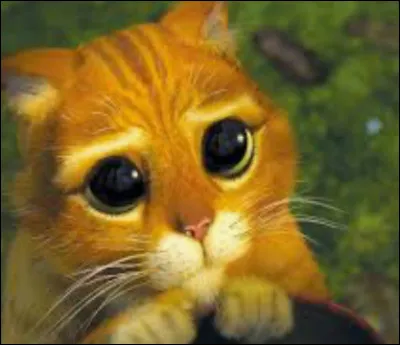 Quel personnage de dessin animé est-ce ?