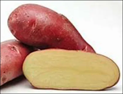 Quelle est cette variété de pomme de terre à peau rouge et à chair blanche ?