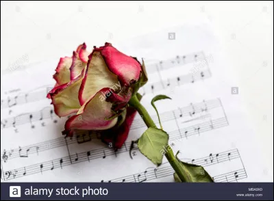 Fan comme "fanée" : qui chantait " c'est ainsi par ici
que les choses ont changé, que les fleurs ont fané" ?