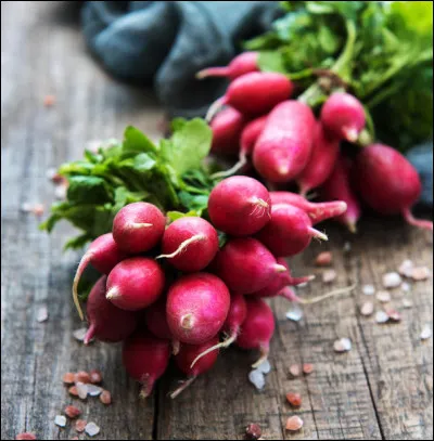 Fan comme "fanes" : que sont les fanes de radis ?