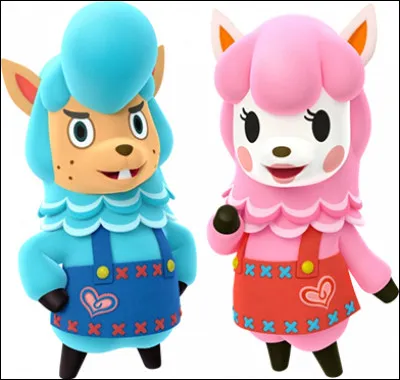 Comment s'appelle le couple du mariage ?