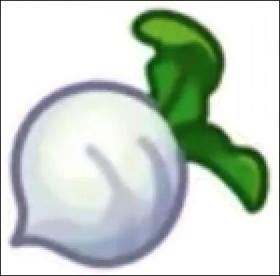 Quel jour ne peut-on pas vendre les navets ?