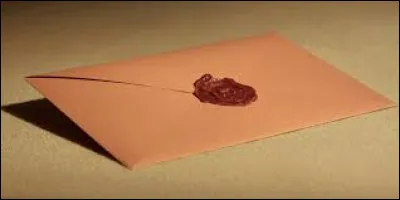 Tant bien que mal, vous arrivez chez vous. Ta mère t'annonce que tu as reçu une lettre mais ta sur te demande de la porter jusqu'à sa chambre car elle ne pense pas avoir la force de marcher.