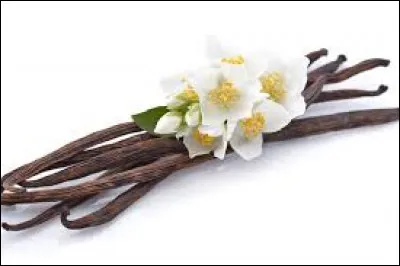 Quel pays avait r&eacute;ussi &agrave; d&eacute;passer Madagascar pour la production de la vanille ?