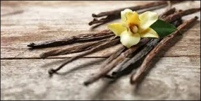 Lequel de ces pays est un grand producteur de vanille ?
