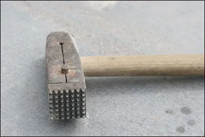 En France, qui était ministre de l'environnement en août 1984 ?