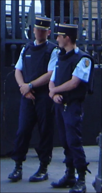 Quel genre d'oiseau est un recoqué ?