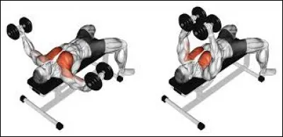 Inutile de charger de trop, il faut bien exercer le mouvement et le résultat sera de taille !