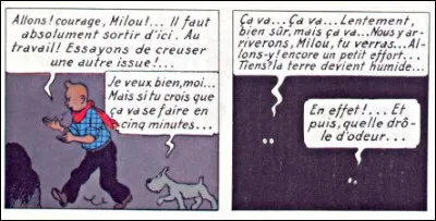 Dans "Tintin en Amérique", Milou trouve qu'il y a comme une drôle d'odeur... Mais laquelle ?