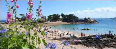 L'île principale et ses 86 îlots et récifs voisins se trouvent dans le département des Côtes-d'Armor, au nord de Paimpol et de la pointe de l'Arcouest :