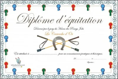 Les diplômes de mon moniteur sont...