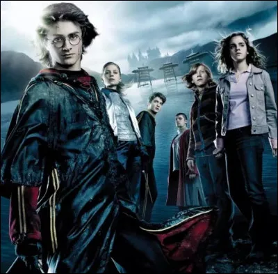 Gr&acirc;ce &agrave; son salaire, Dobby offre un cadeau &agrave; Harry dans "Harry Potter et la Coupe de feu". Quel est-il ?