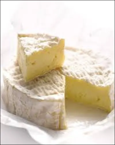 Comment appelle-t-on un camembert en argotique ?