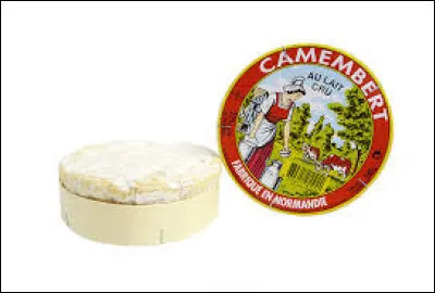 Cochez l'intrus qui n'est pas une marque de camembert !