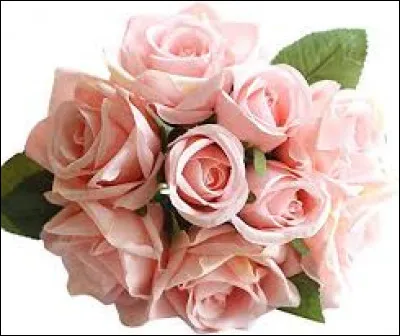 Qui chantait "Mon amie la rose" ?