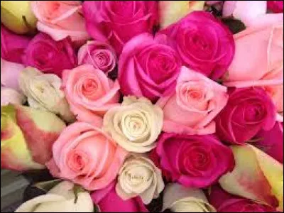 Ce fut le mouvement d'opposition à Hitler dont les fondateurs furent décapités en 1943.