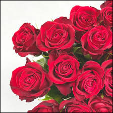 Quiz Fleurs