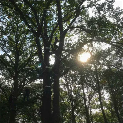 Quelle activité te correspond le plus ?