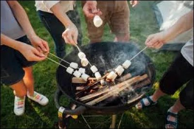 Quel bonbon peut &ecirc;tre cuit au barbecue ?