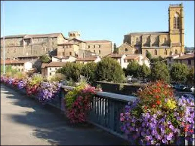 Petite ville de 6 500 habitants du département du Rhône, située au confluent de la Brévenne et de la Turdine, à la jonction des monts du Lyonnais et du Beaujolais :