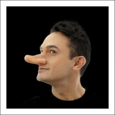 Vers où ce grand nez pointe-t-il ?