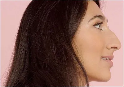 Dans quelle direction ce nez pointe-t-il ?