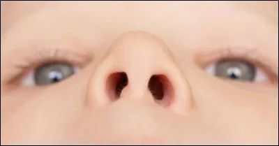 Où ce nez d'enfant est-il dirigé ?