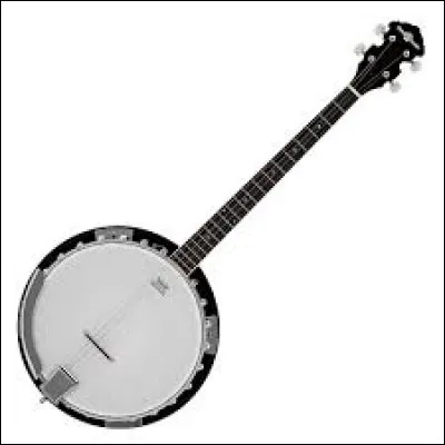 Quel est le nom de cet instrument de musique ?