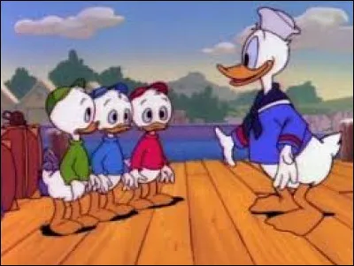 Qui sont Riri, Fifi et Loulou pour Donald Duck ?
