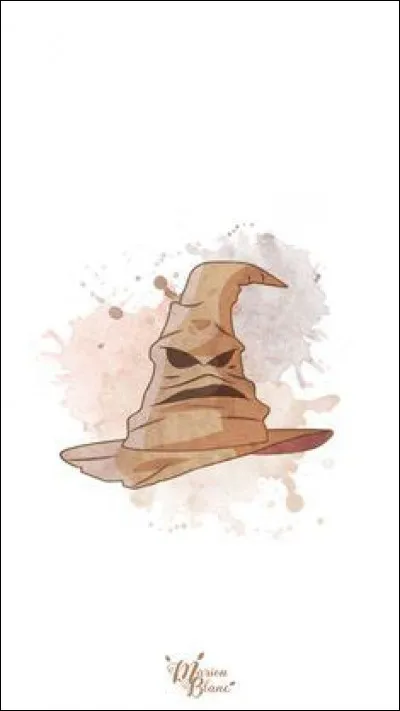 À qui sont ces objets ? (Toutes les images représentent le même personnage)