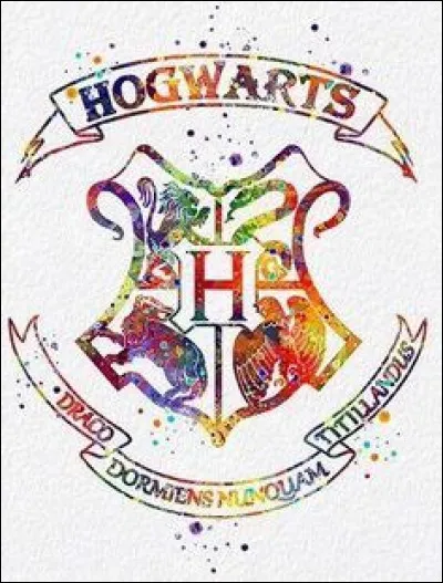 À qui sont ces objets ? (Toutes les images représentent le même personnage)