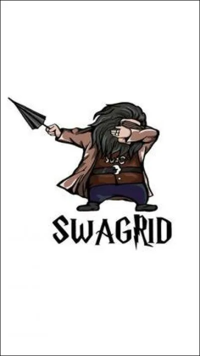 À qui sont ces objets ? (Toutes les images représentent le même personnage)