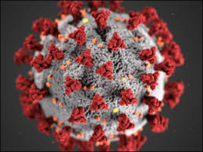 Quel est cet objet ?