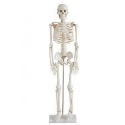 Quel est cet objet ?