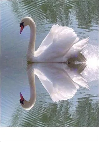 Quel opra vous voque cette illustration ?