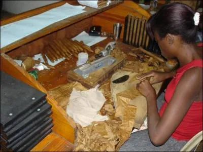 Quel opra vous voque cette illustration ?