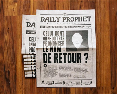 Comment s'appelle le journal qui accuse très souvent Harry Potter ?