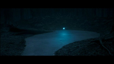 Qui sauve Harry de la noyade dans le lac gelé de la forêt de Dean ?