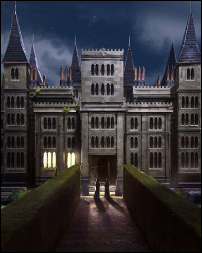 Voici une partie du manoir des Malefoy. Mais quel camarade Harry et Ron trouvent-ils enfermé dans les cachots ?